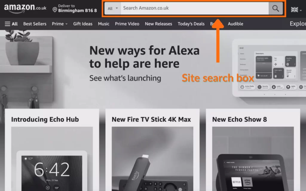 Amazon ecommerce site search box example