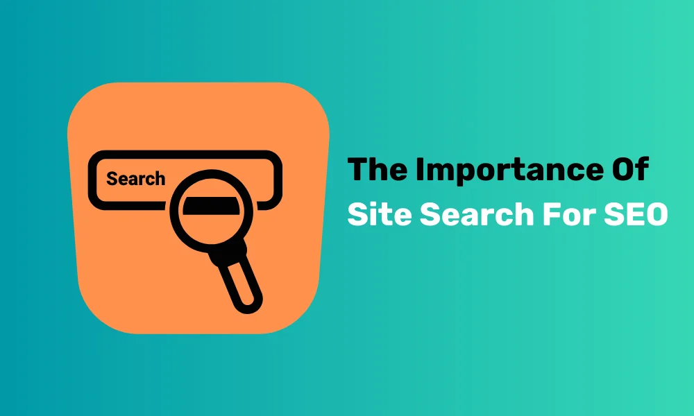 Importance of Site Search In SEO