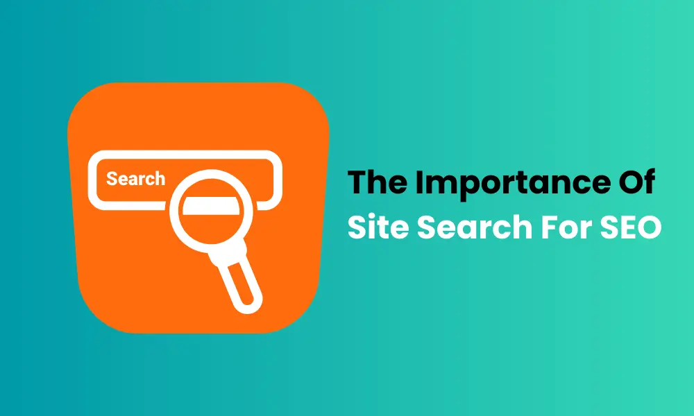 Importance of Site Search In SEO