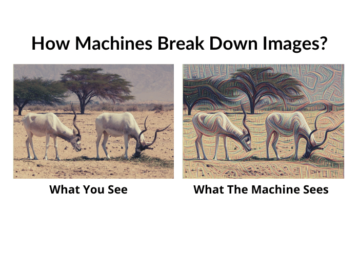 Image Search - Human versus Machine view