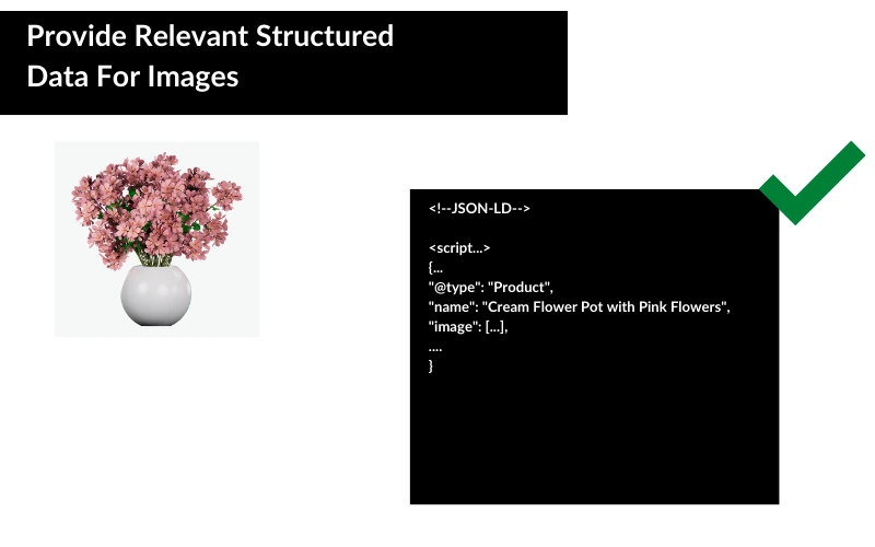 Provide Relevant Structured Data About Images 1