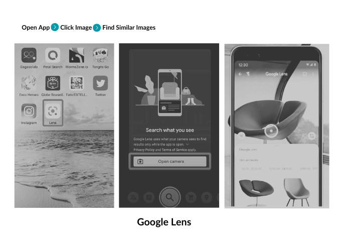 Image of a Reverse Image Search with Google Lens