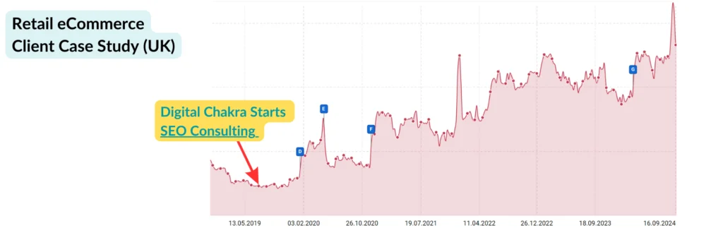 SEO Consulting Results