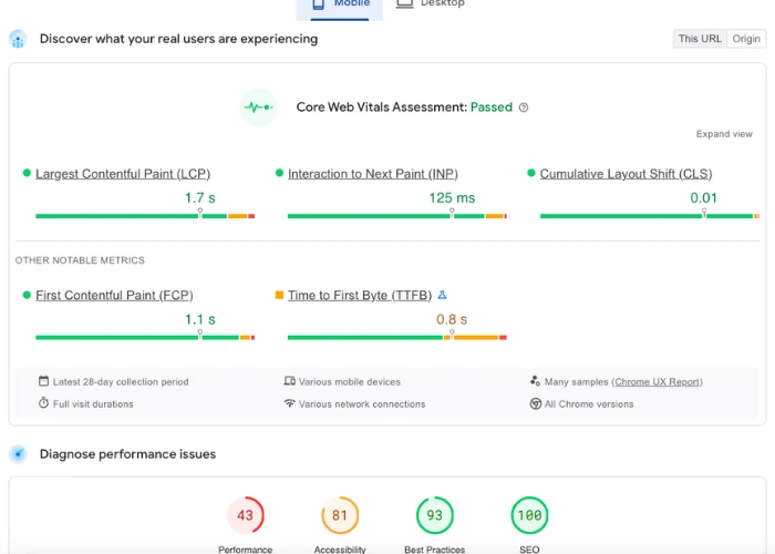 PageSpeed Insights Report